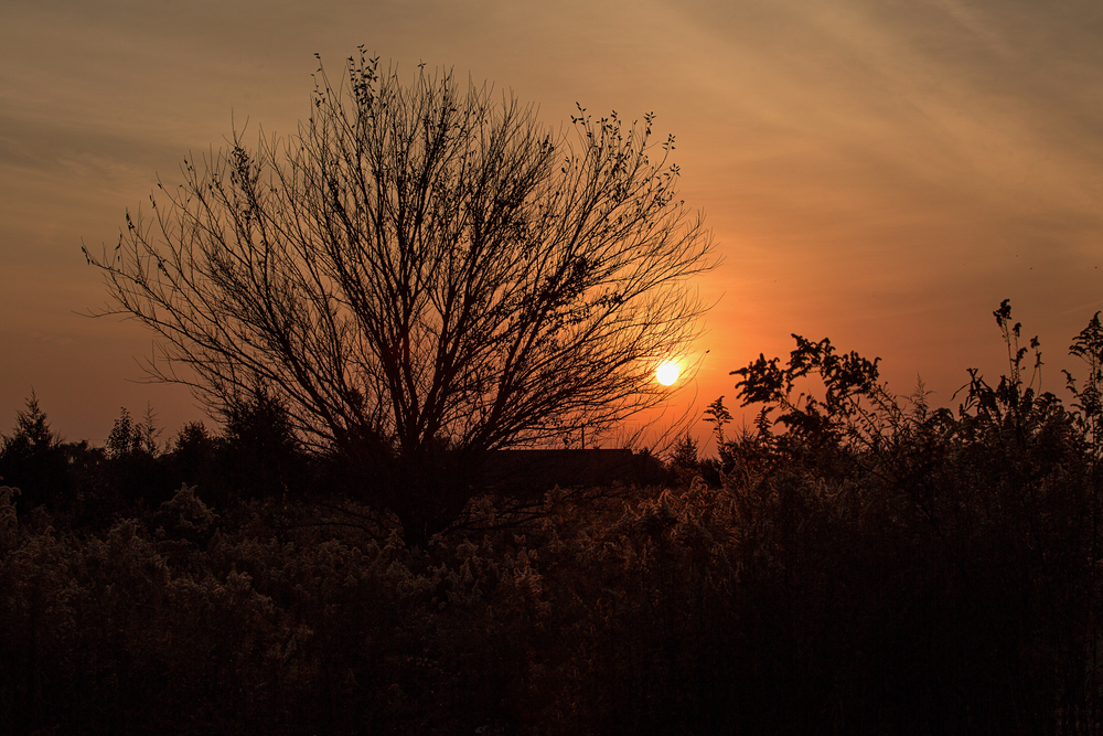 Share article For Families Thinking of Buying a Home in Bellefontaine